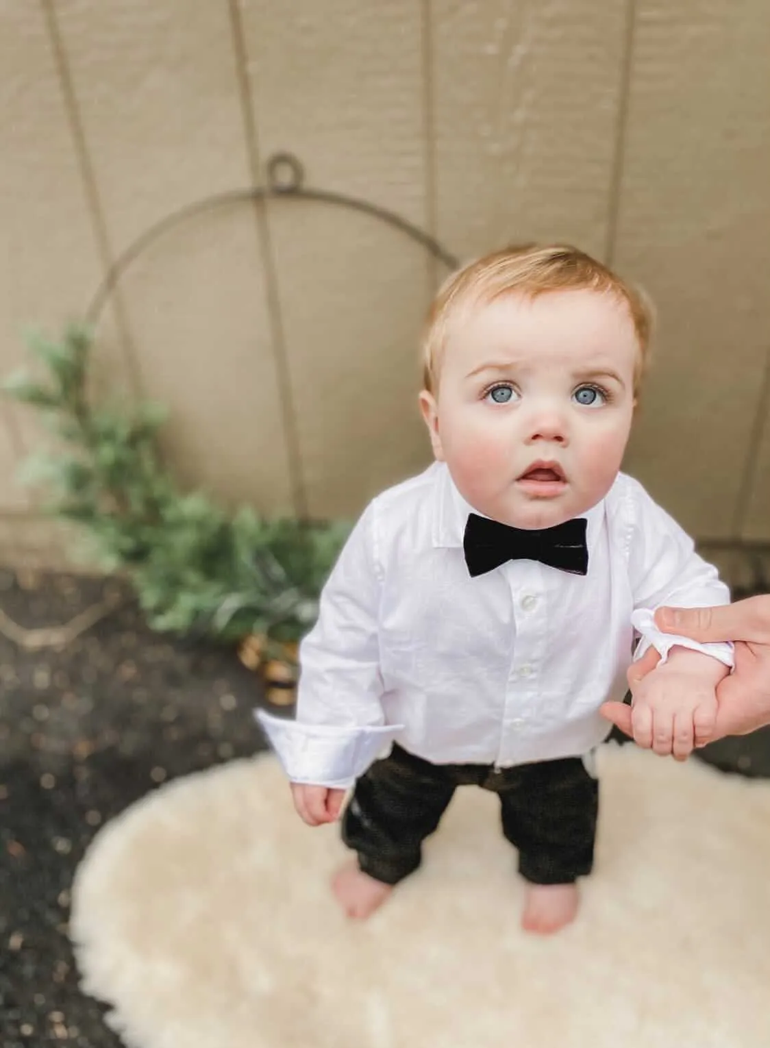 Black Velvet Bow Tie