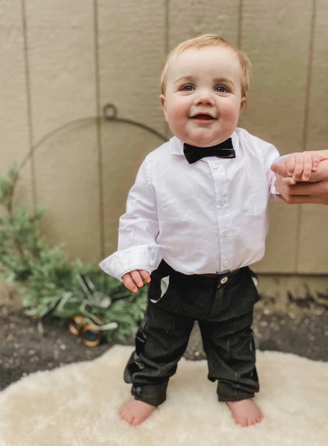 Black Velvet Bow Tie