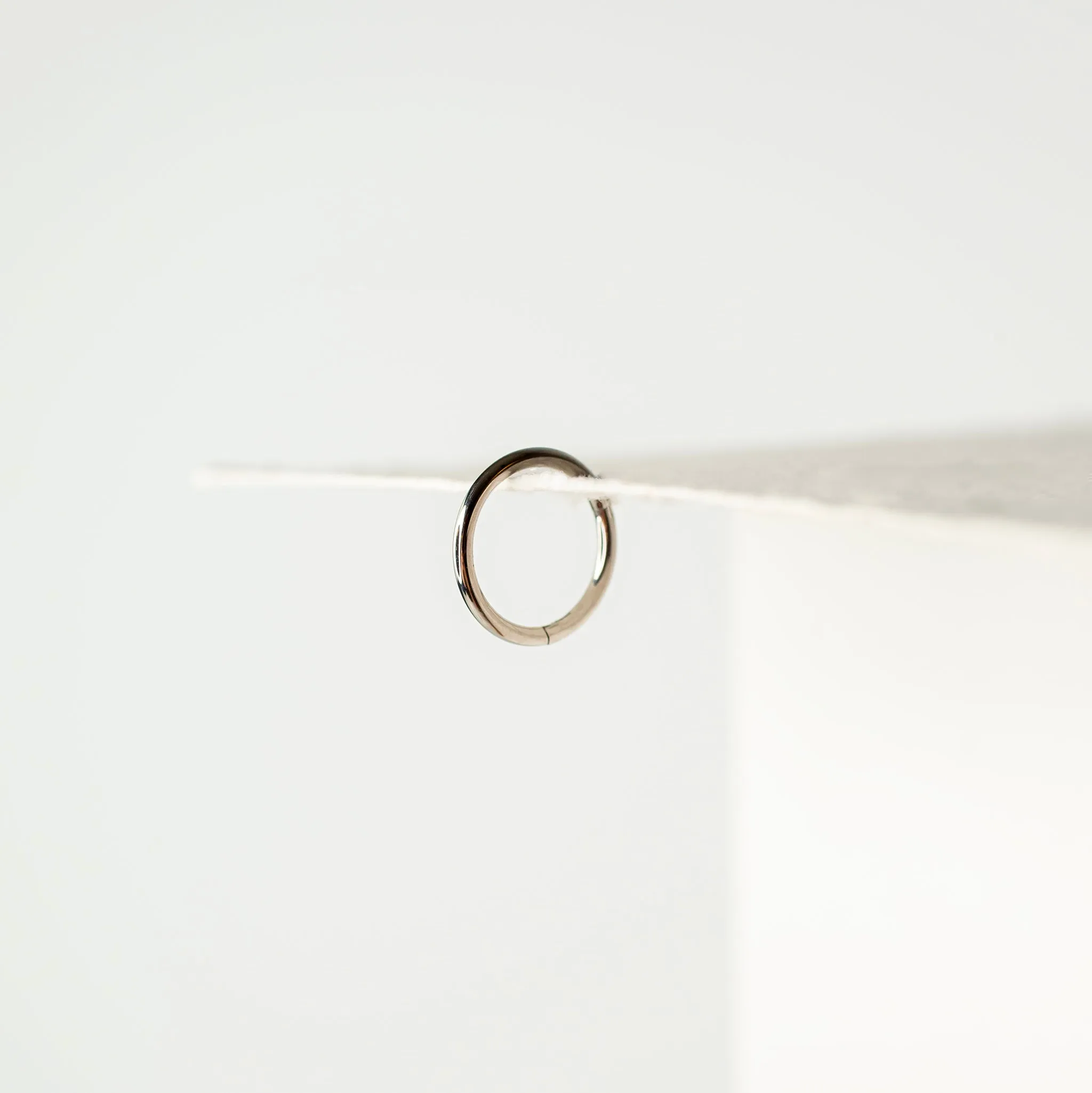 Mya Titanium Hinged Segment Ring - Hoop For Noses, Ears   More