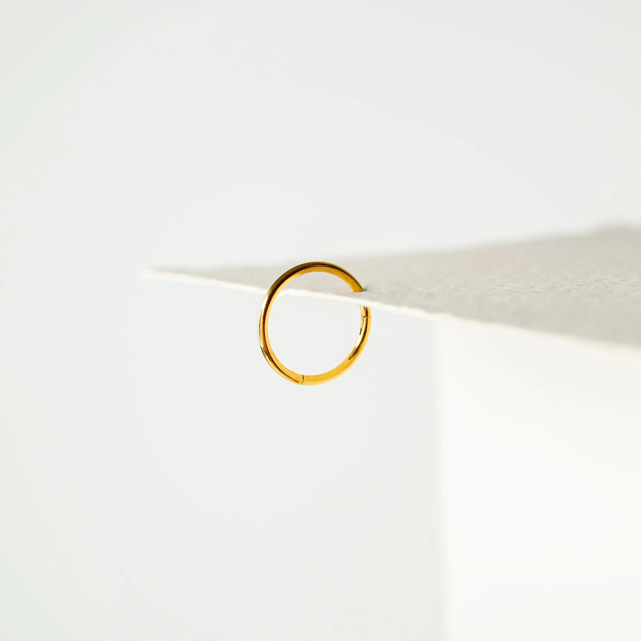 Mya Titanium Hinged Segment Ring - Hoop For Noses, Ears   More