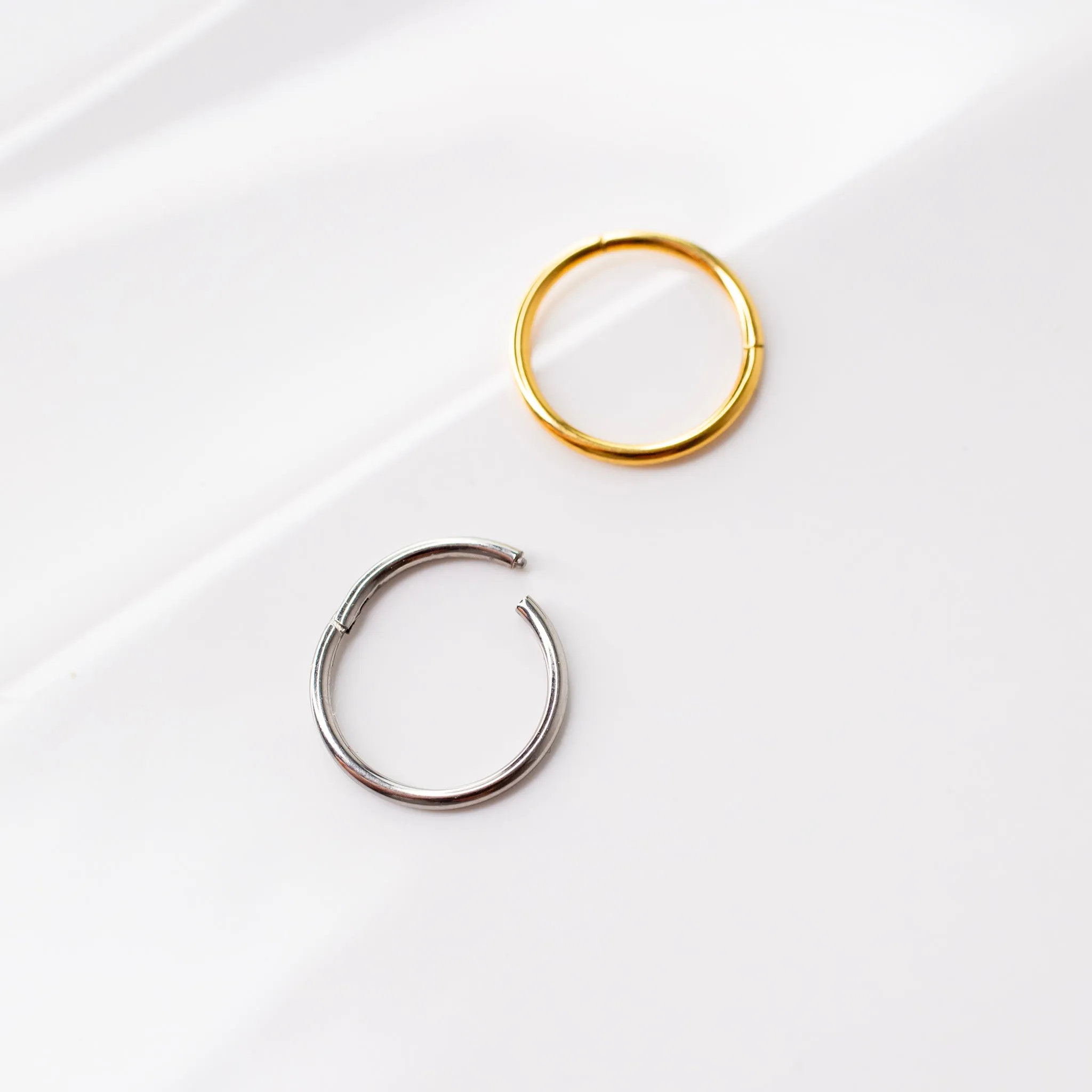 Mya Titanium Hinged Segment Ring - Hoop For Noses, Ears   More