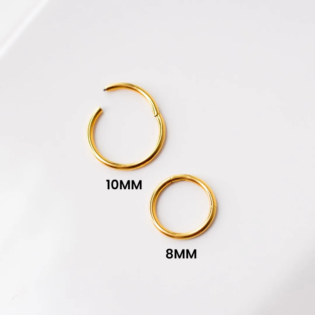 Mya Titanium Hinged Segment Ring - Hoop For Noses, Ears   More