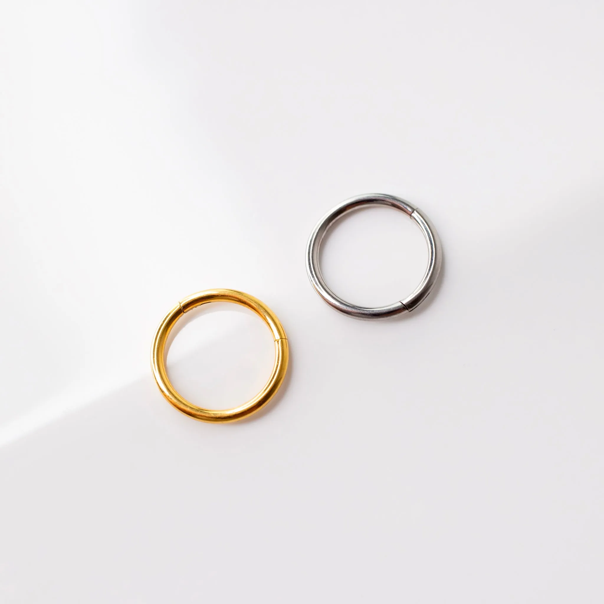 Mya Titanium Hinged Segment Ring - Hoop For Noses, Ears   More