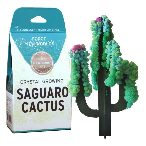 Saguaro Cactus Crystal Growing Kit