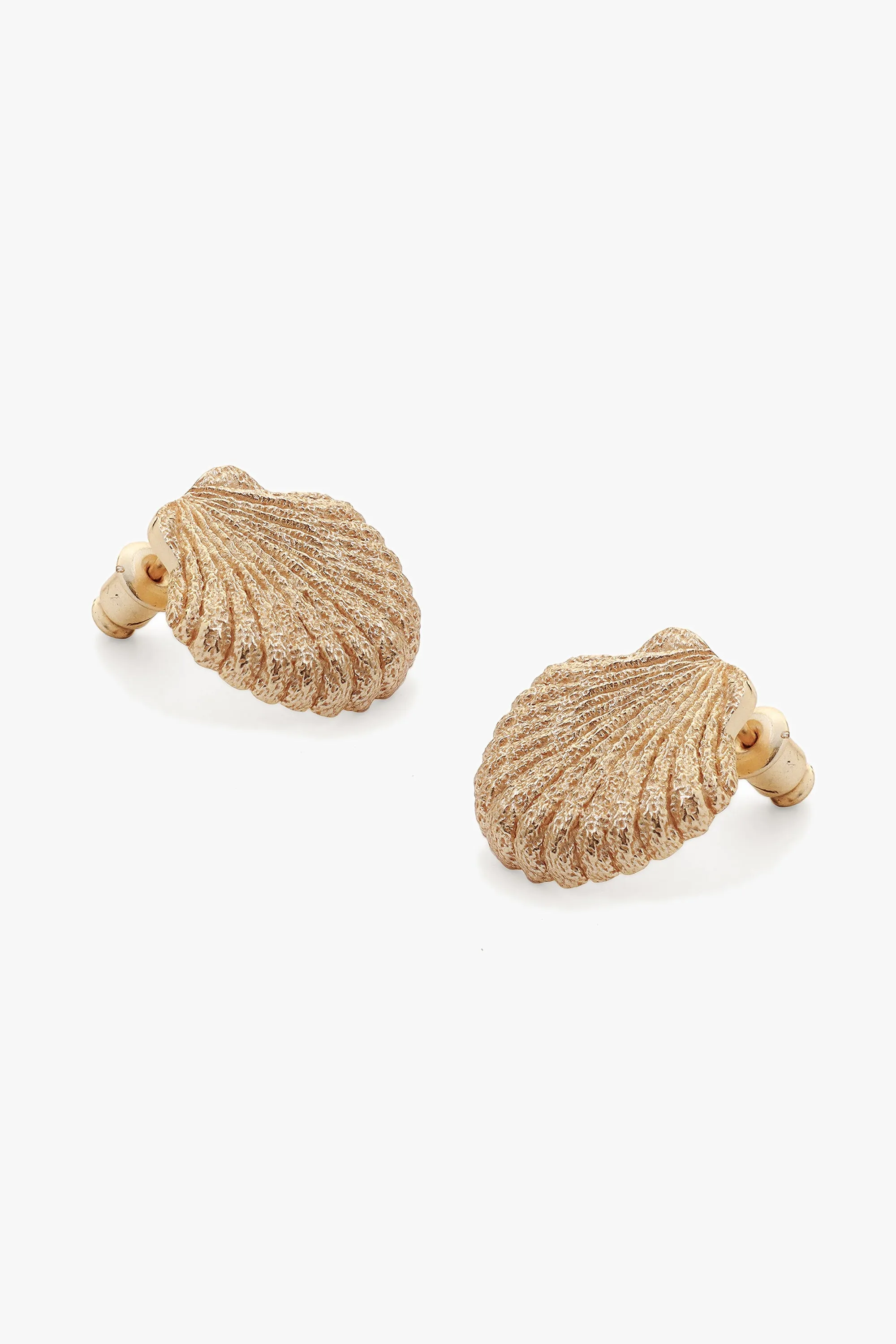 Seashell Earrings