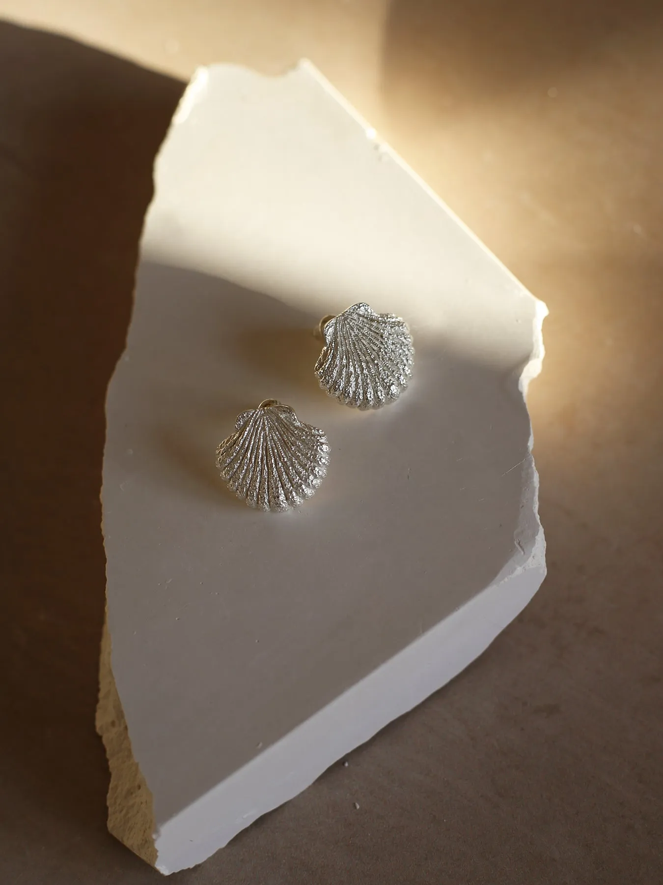 Seashell Earrings