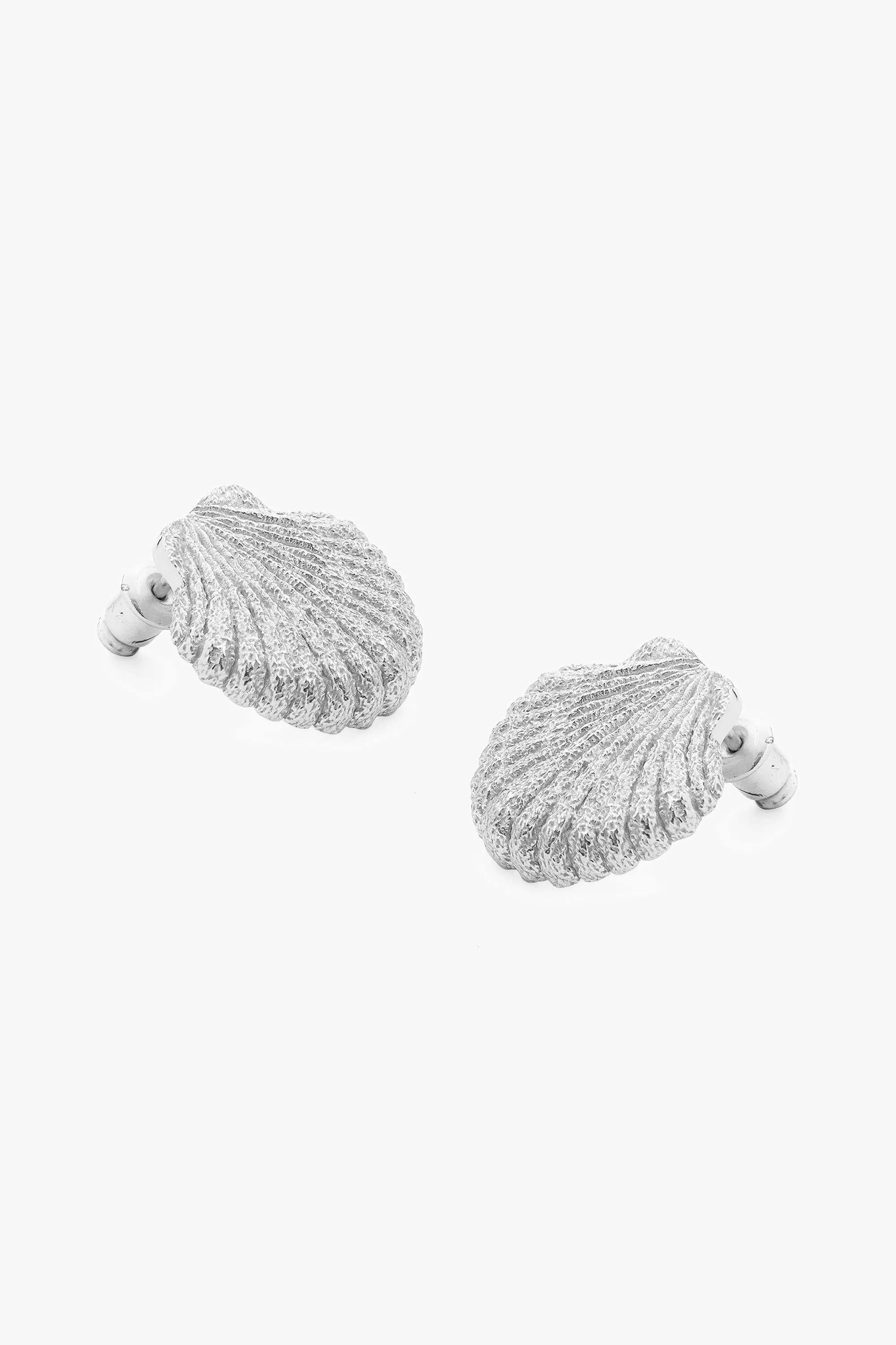 Seashell Earrings