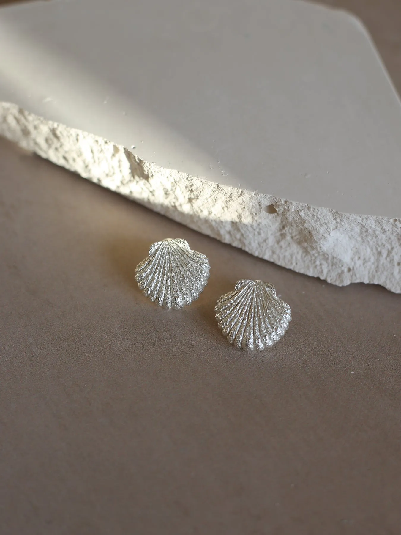 Seashell Earrings